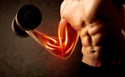 Muscle performance