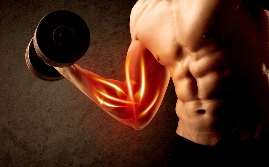 Beta Alanine