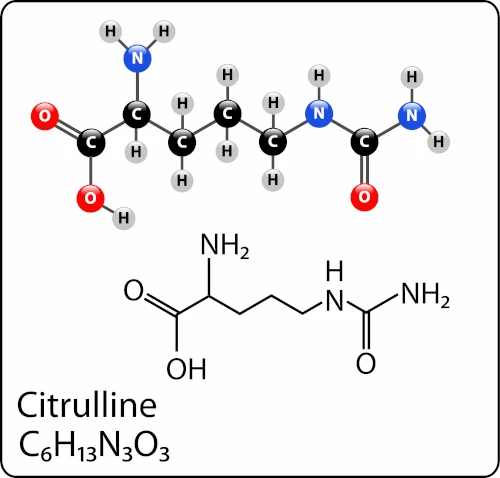 citrulline